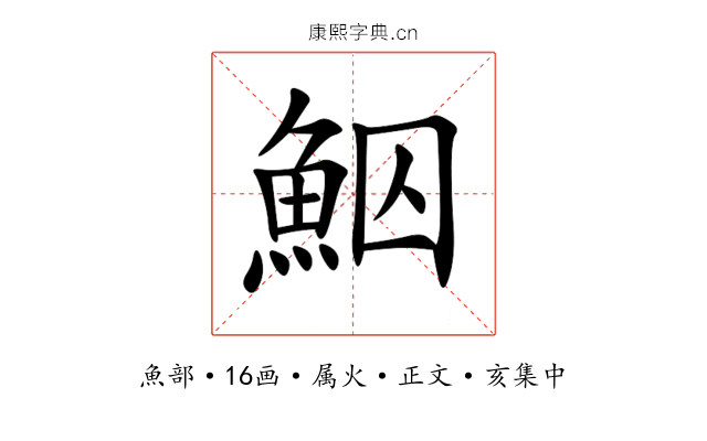 鮂