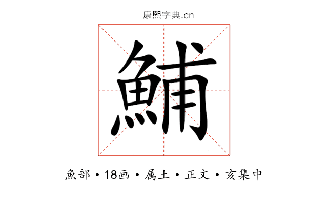 鯆