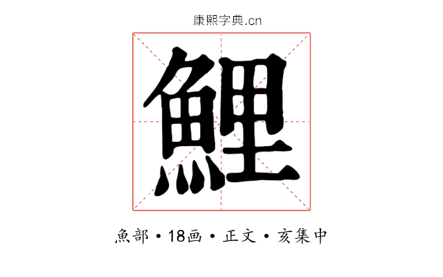 鯉