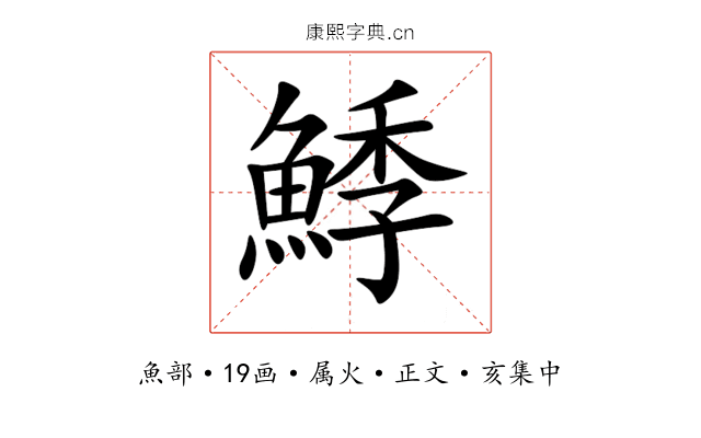 鯚