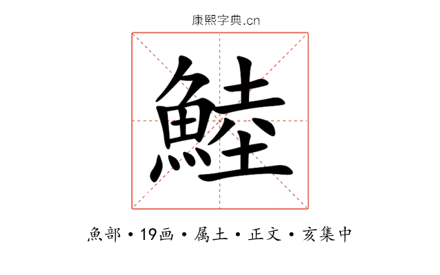 鯥