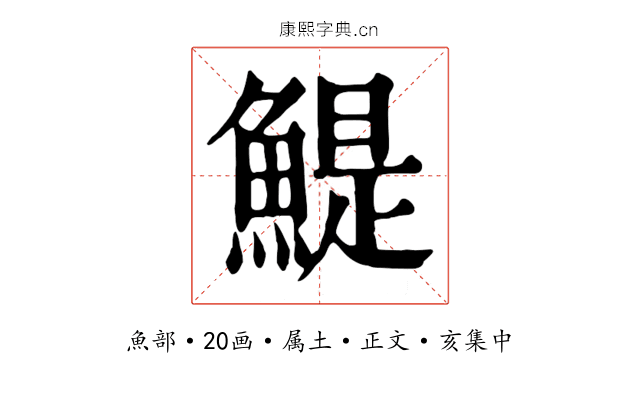 鯷