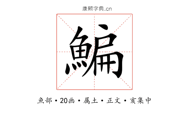 鯿