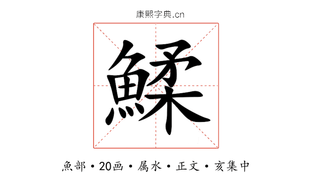鰇