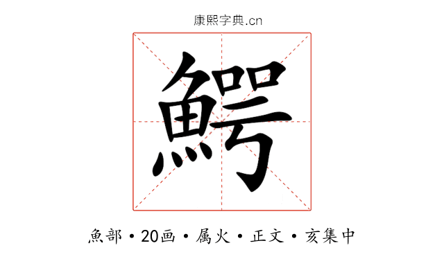 鰐