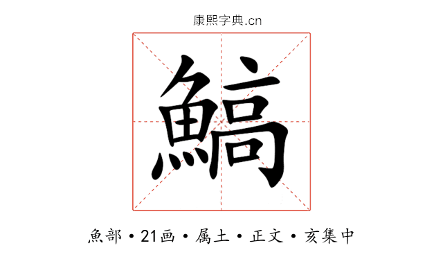 鰝