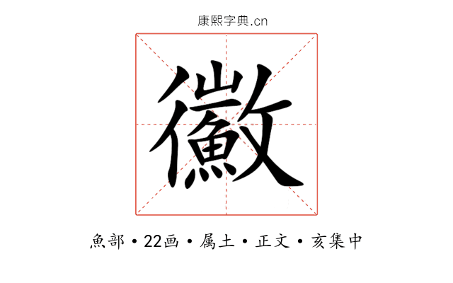 鰴
