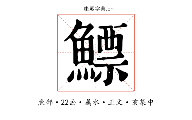 鰾