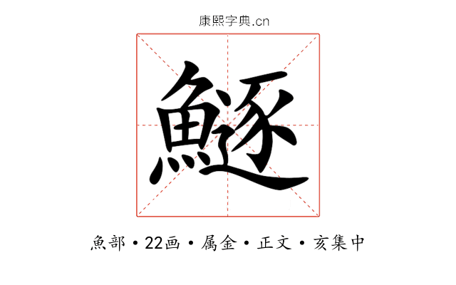 鱁