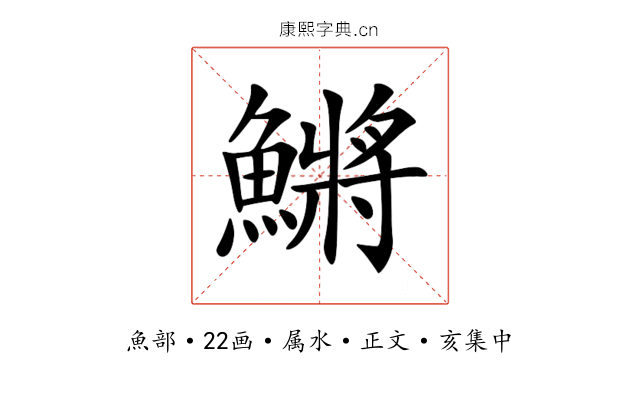 鱂