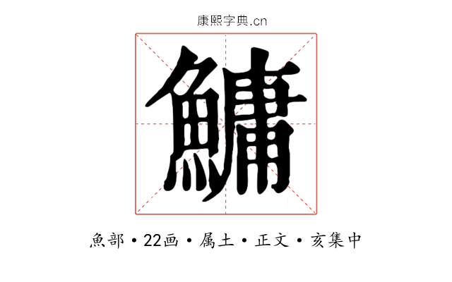 鱅