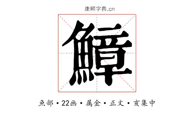 鱆