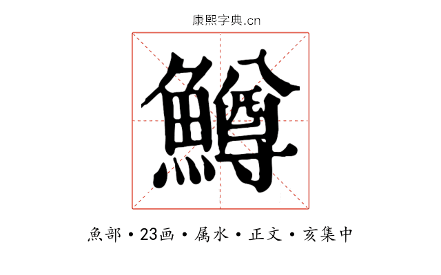 鱒