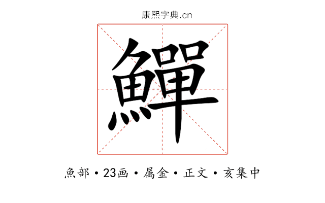 鱓