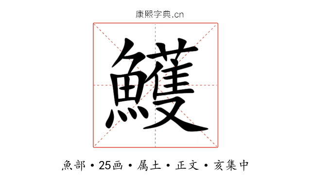 鱯
