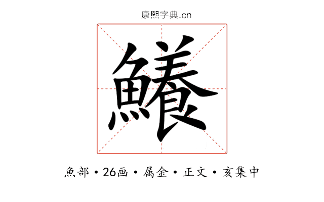 鱶