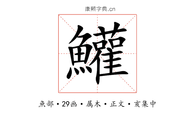 鱹