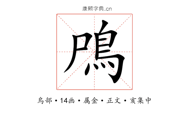 鳲
