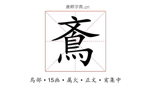 鴍