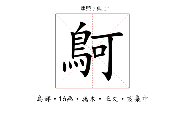鴚