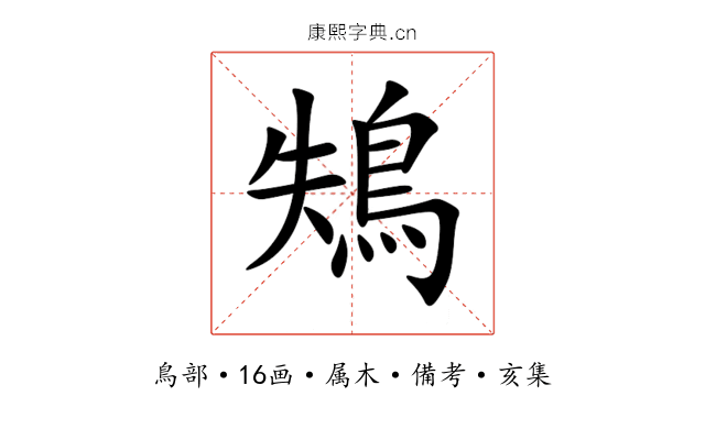 鴩