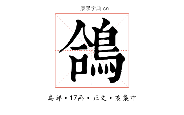鴿