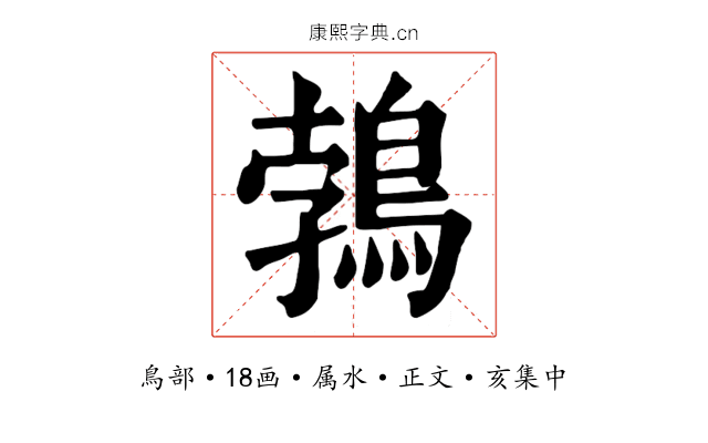 鵓