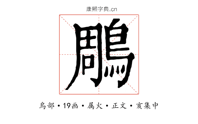 鵰