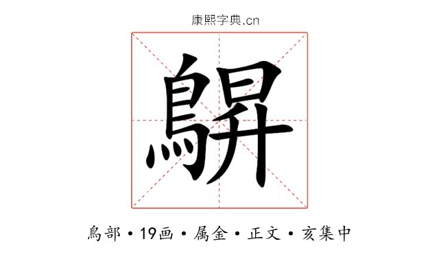 鵿