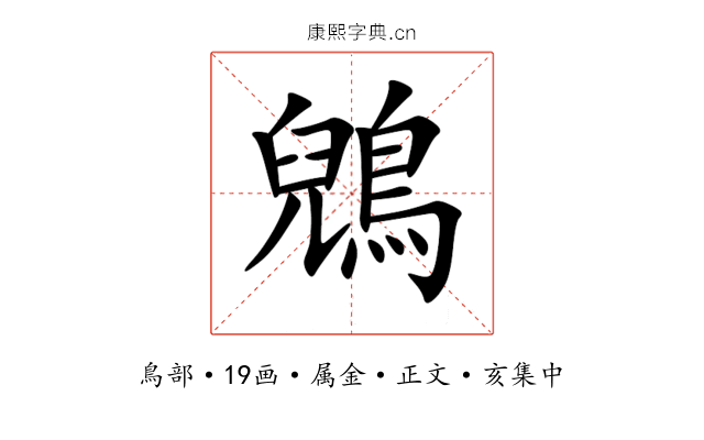 鶂