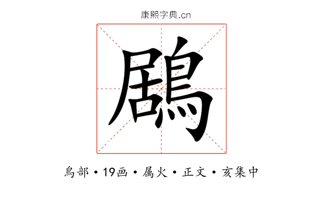 鶋