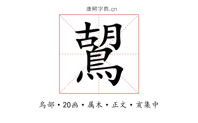 鶦