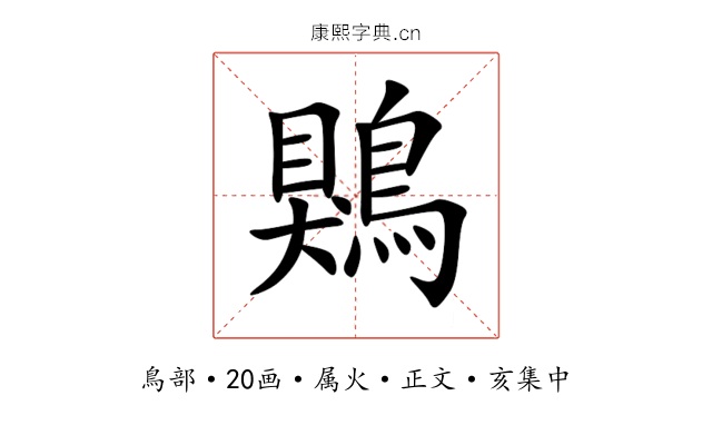 鶪