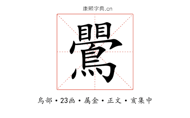 鷪