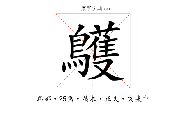 鸌