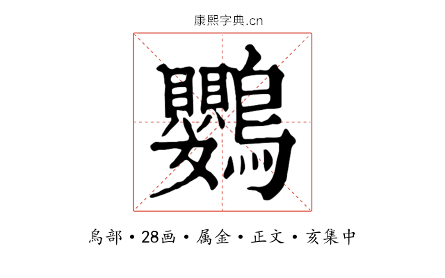 鸚
