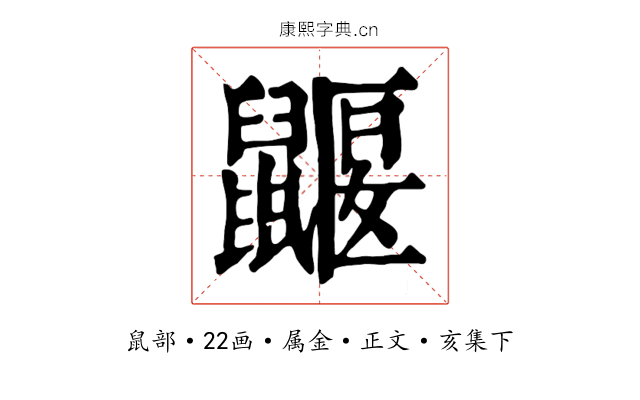 鼴
