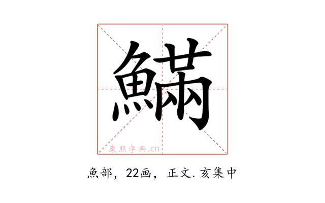 𩺴
