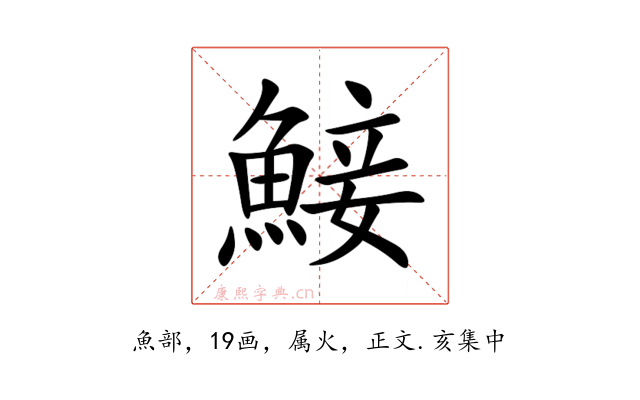 鯜
