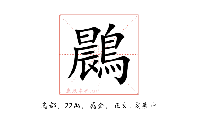 鷐