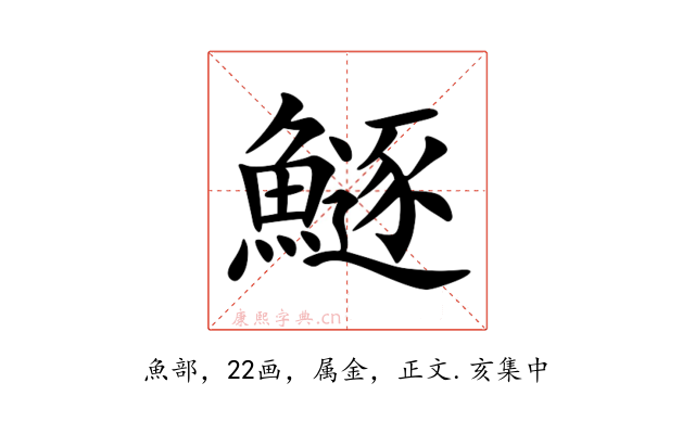 鱁