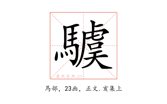𩦢