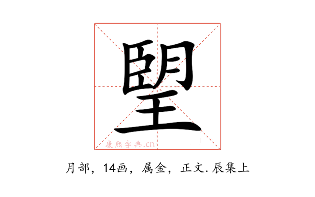 朢