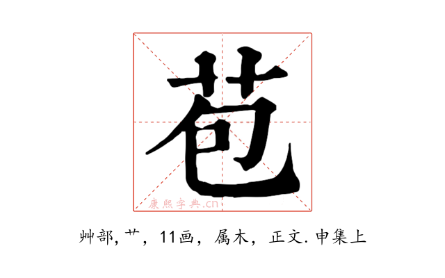苞