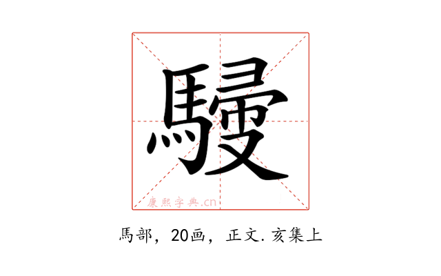 𩤿