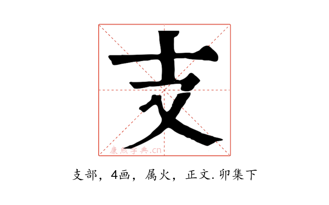 支