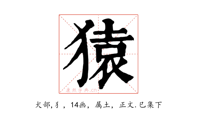 猿