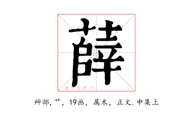 薛