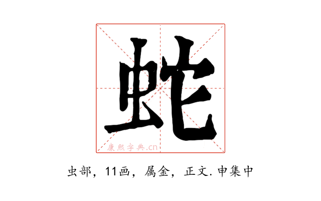 蛇