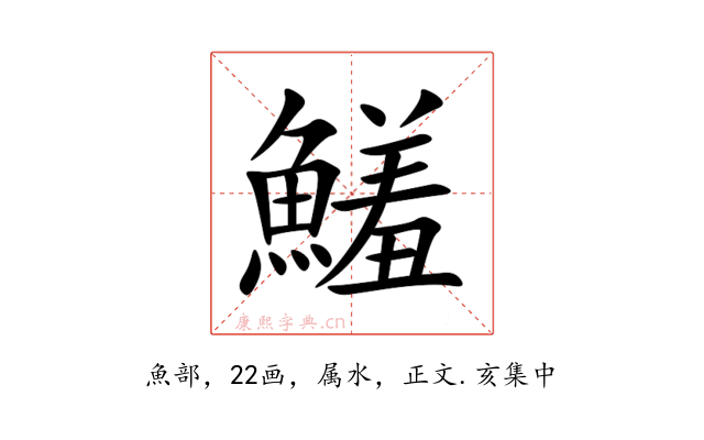 鱃